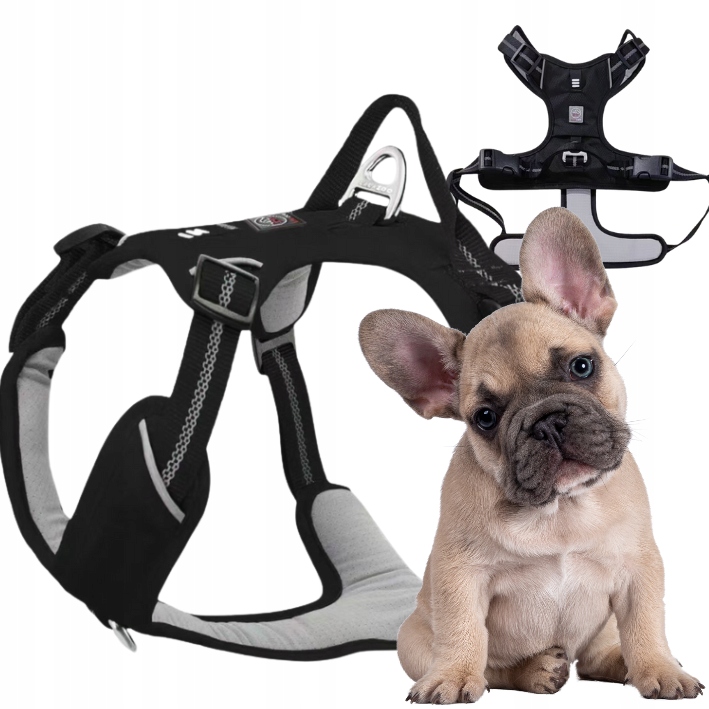 Levně Postroj Guard pro psa Adventure silný, nastavitelný, pohodlný Premium Black M