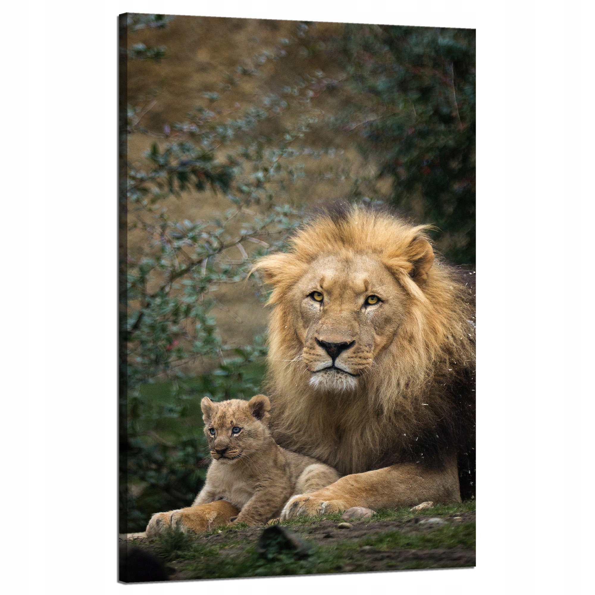 Obraz na plátně Lev a Lvíček Příroda Stromy Příroda 50x80 cm