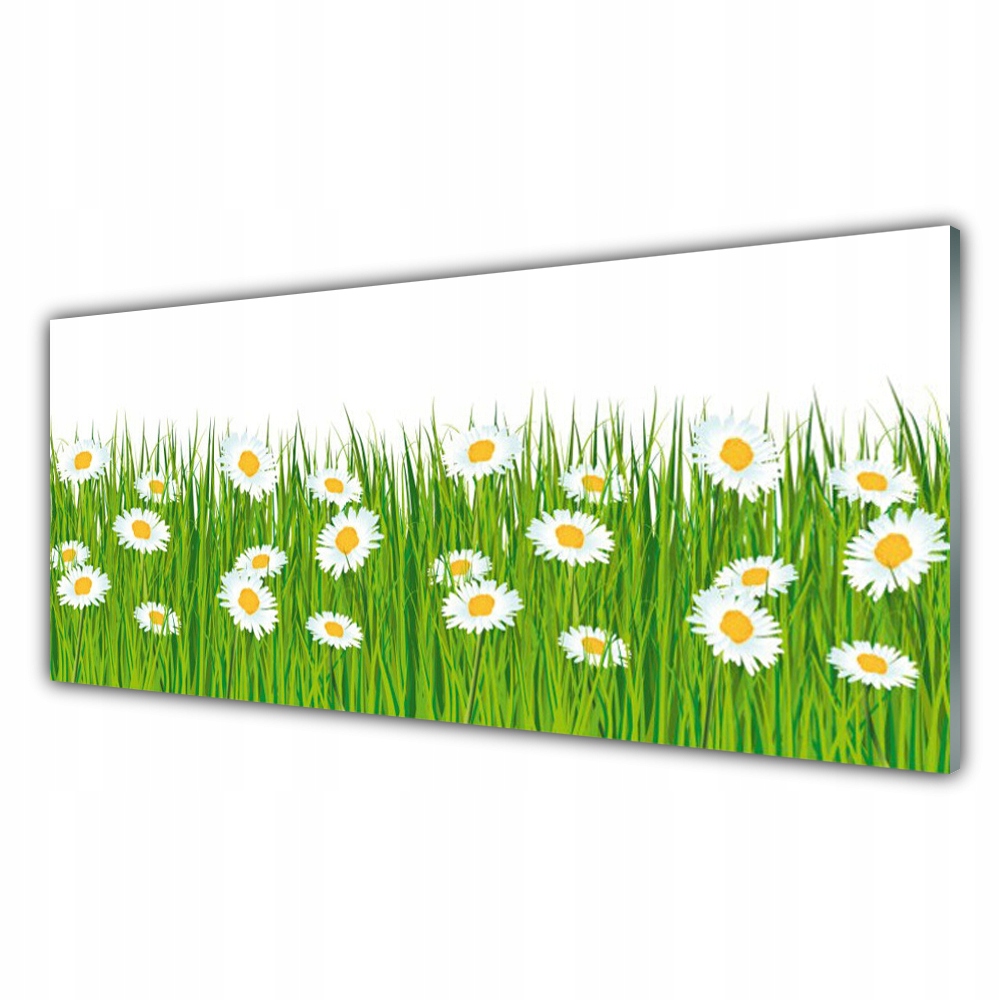 

Fotoobraz nowoczesny 125x50 Trawa Stokrotki Natura
