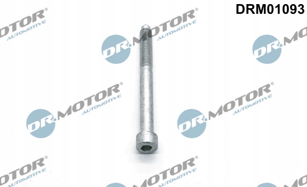 

Dr.motor DRM01093 żruba, wtryskiwacz