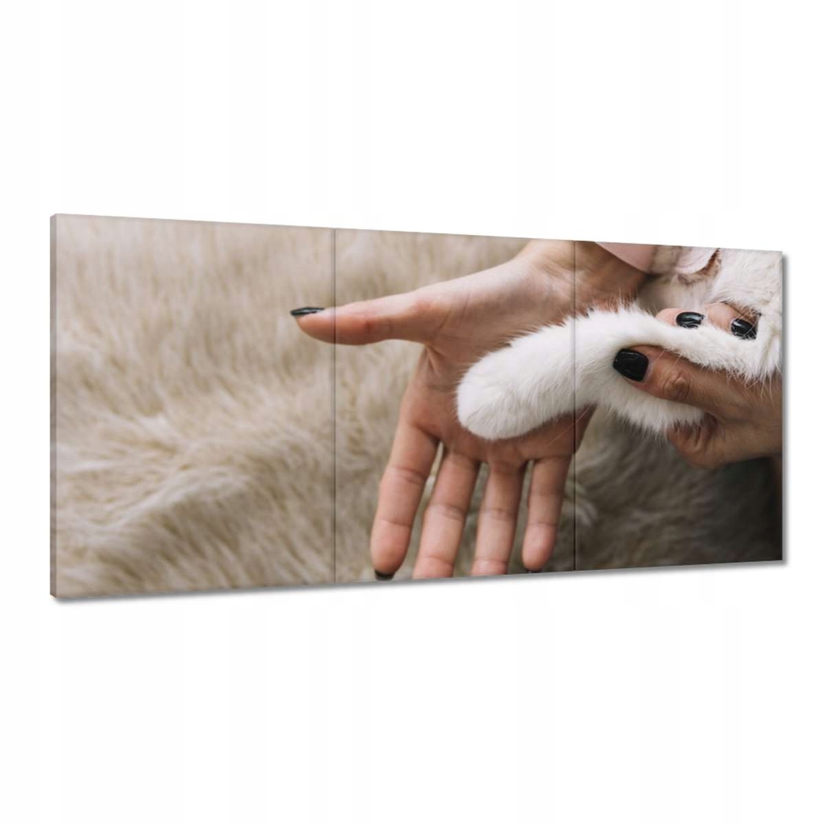 Obrazy 180x90 Mačiatko Mačky Kicia