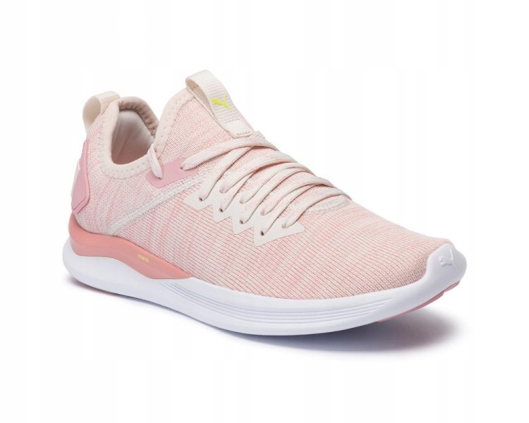 Buty Puma Ignite Flash Evoknit Wn's 190511-18 41