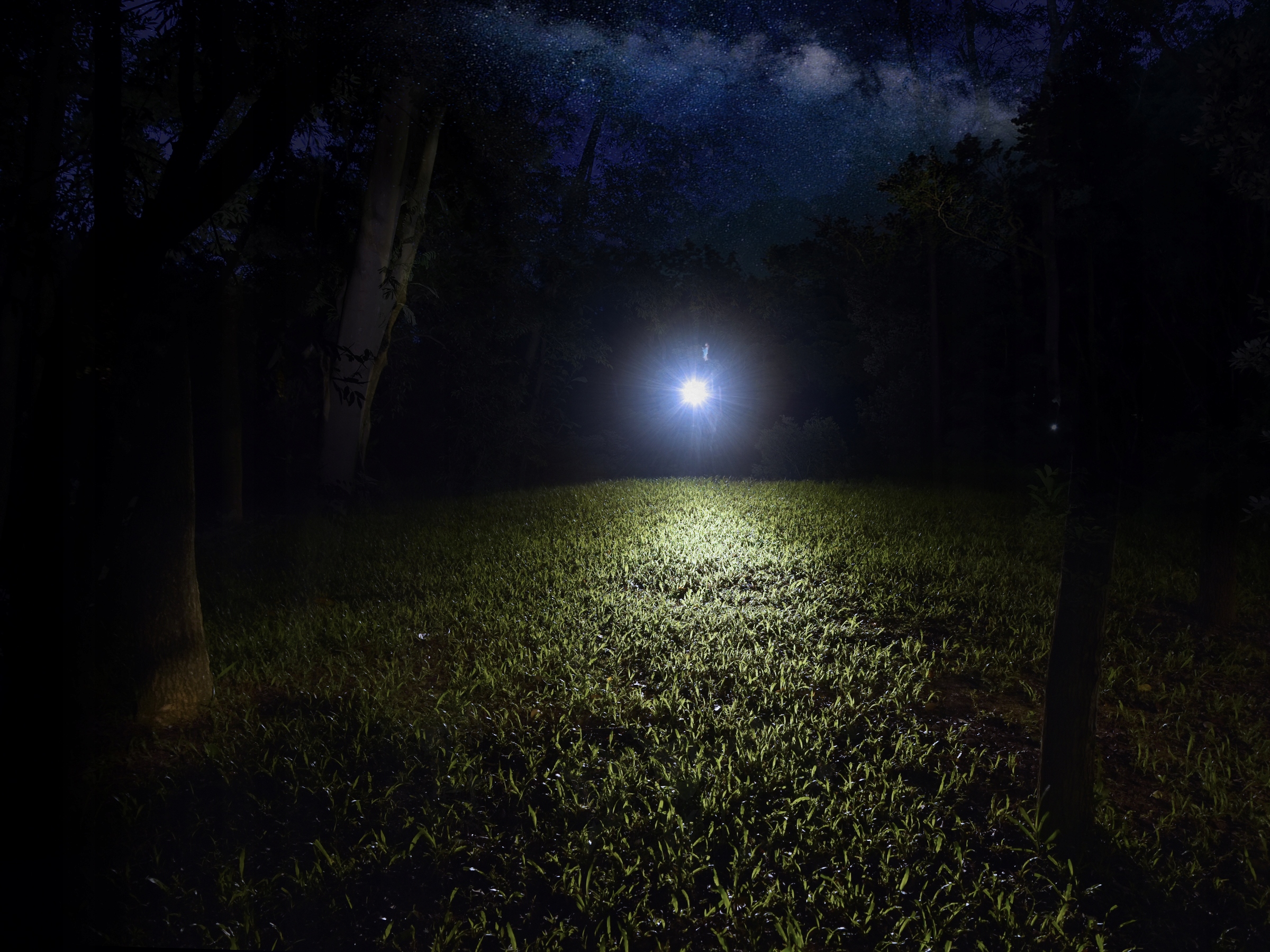 Latarka diodowa Fenix E12 V2.0 Zasilanie baterie