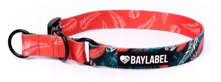 

Baylabel - Obroża półzaciskowa - Orange is the L