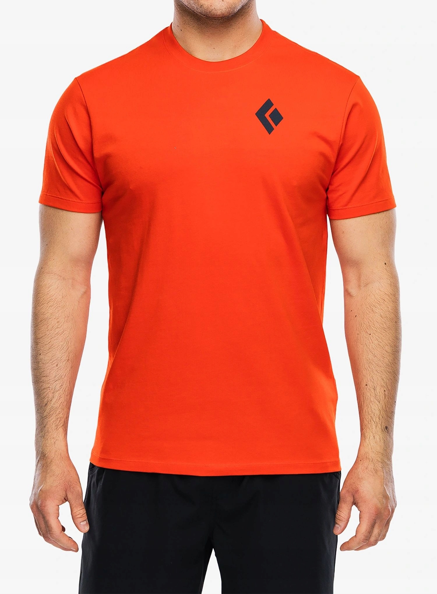 Koszulka bawełniana Black Diamond Equipment For Alpinist Tee octane L