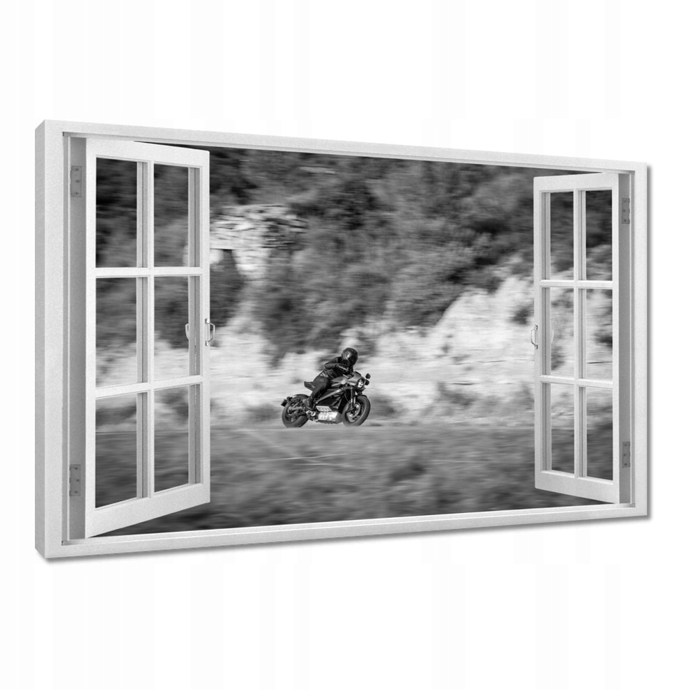 

Obrazy 120x80 Harley Davidson Motocykl