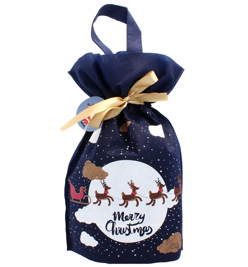 WOREK PREZENTOWY TOREBKA ŚWIĄTECZNA PREZENT 22x32