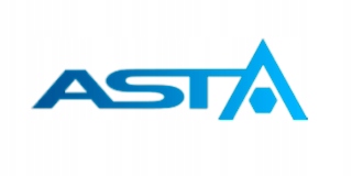 Szlifierka TASMOWA 10X330 Asta EAN 5901832951339