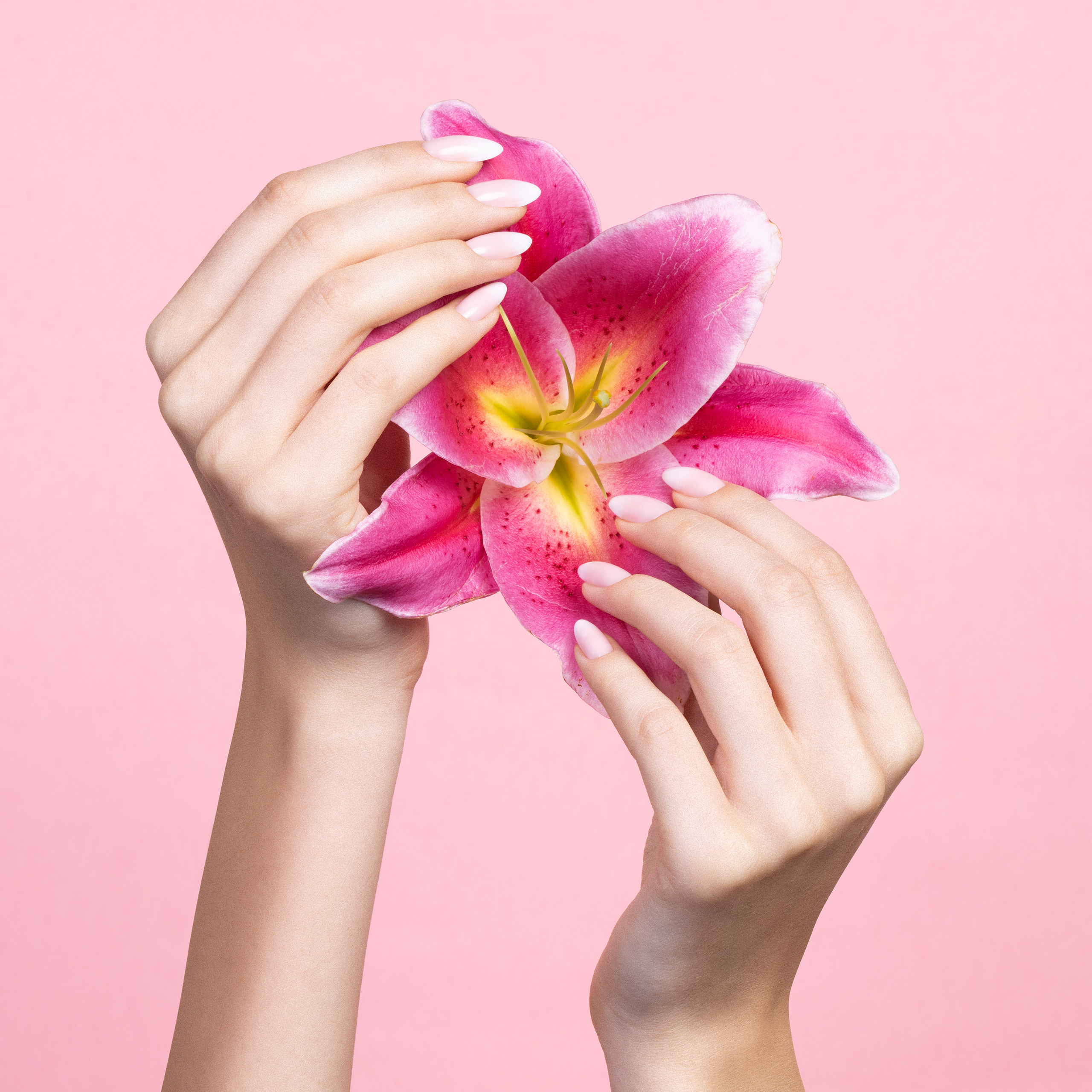 NEONAIL Zestaw BABY BOOMER SET ROSE French Mani Przeznaczenie zestawy do manicure hybrydowego