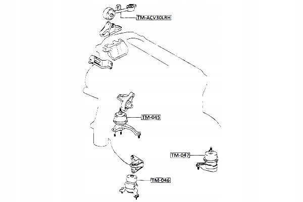 FEBEST PODUSZKA SILNIKA PRAWA TOYOTA CAMRY NAP ACV30 MCV3 Producent części Febest
