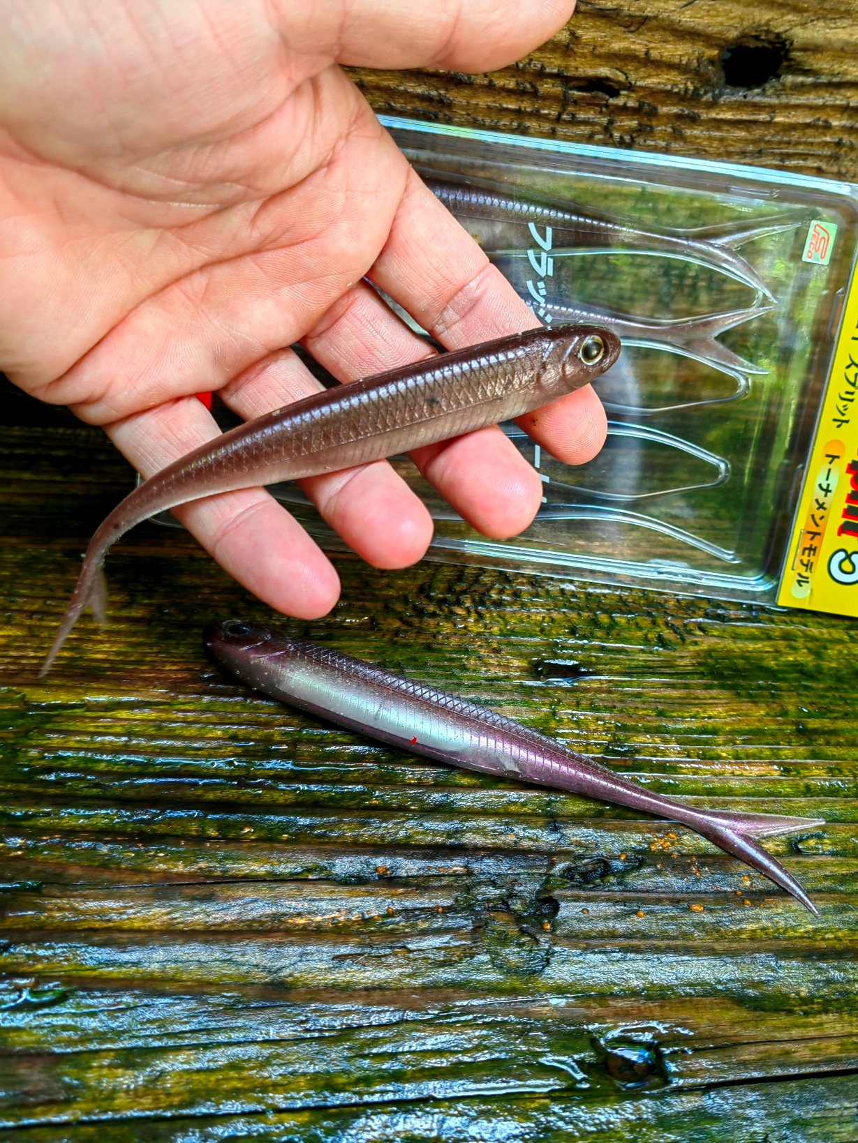 Jaskółka Flash-J Split 7 " Fish Arrow 18 cm kiler Sandacz i Szczupak #F07 Marka Fish Arrow