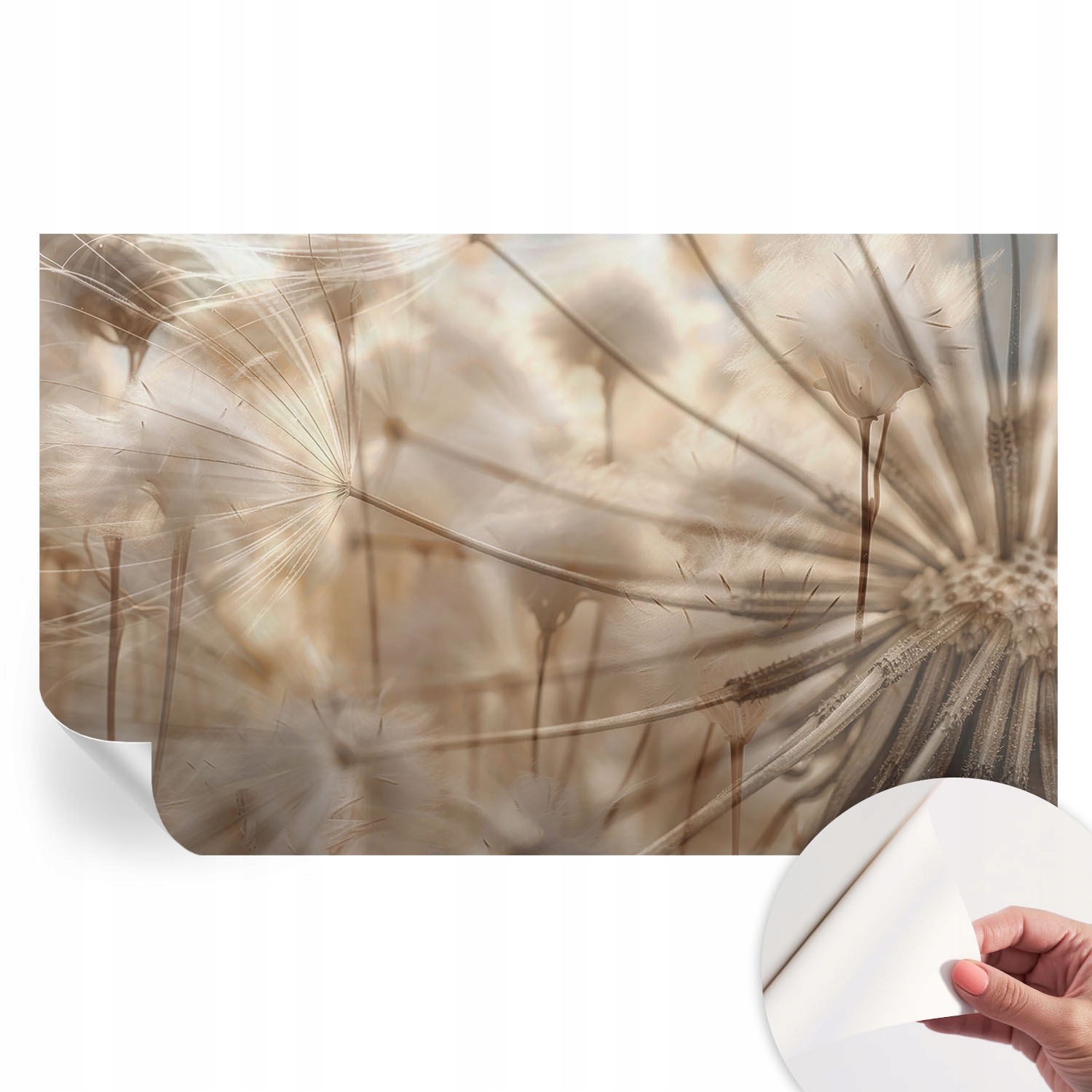 Samolepiaca fototapeta na stenu 3D Loft Jemné dúchadlá 416x254 cm