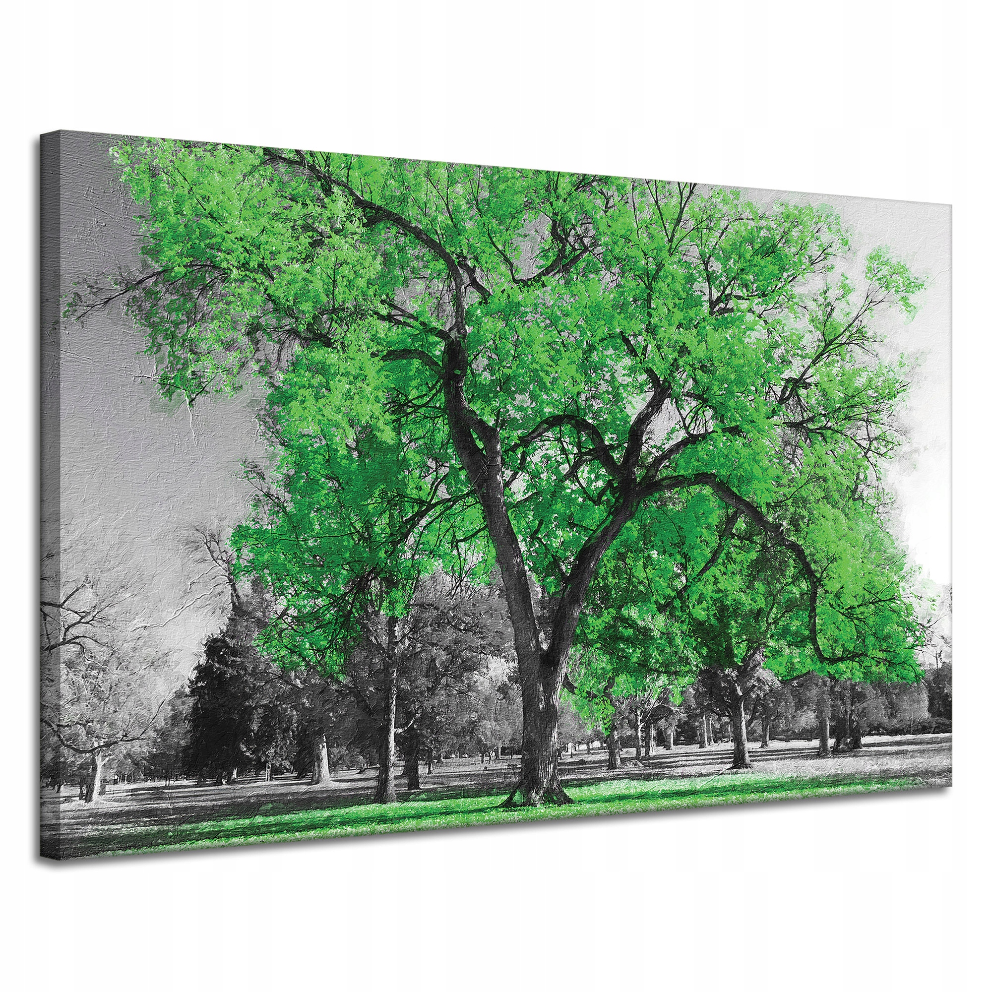 Obraz na plátně Černé Stromy Zelené Listy Umění 120x80 cm