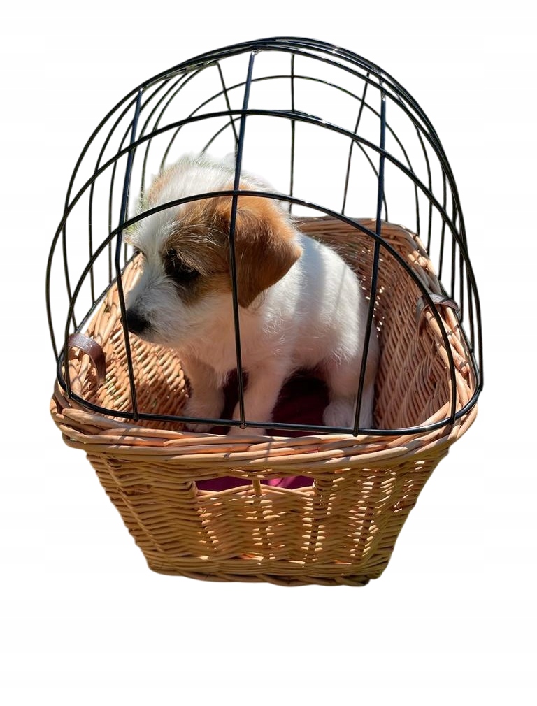 Transporter wiklinowy na rower dla psa-kota do10kg