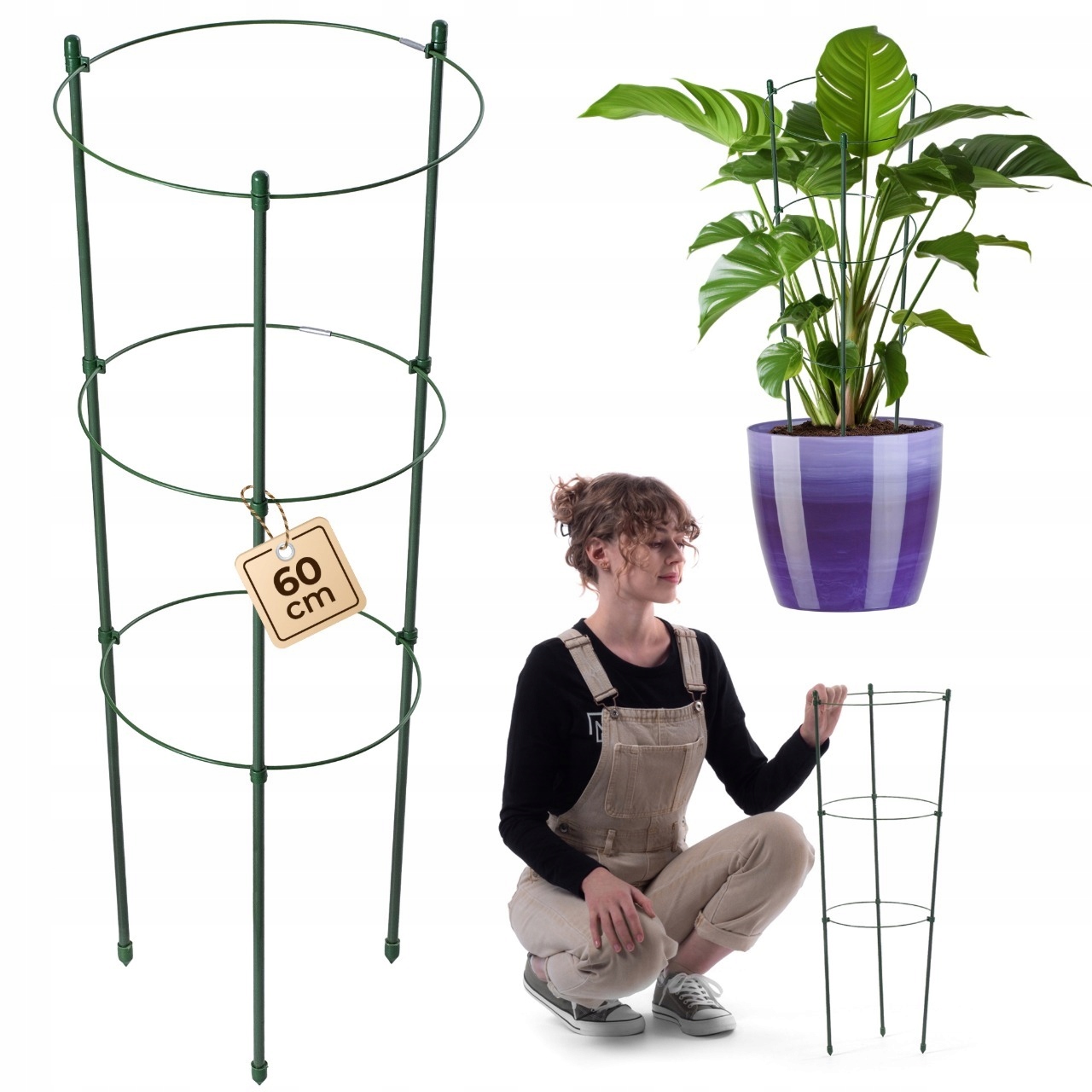 PODPORA PIERŚCIENIOWA DO ROŚLIN KWIATÓW 60 cm METALOWA PODPÓRKA OBRĘCZE