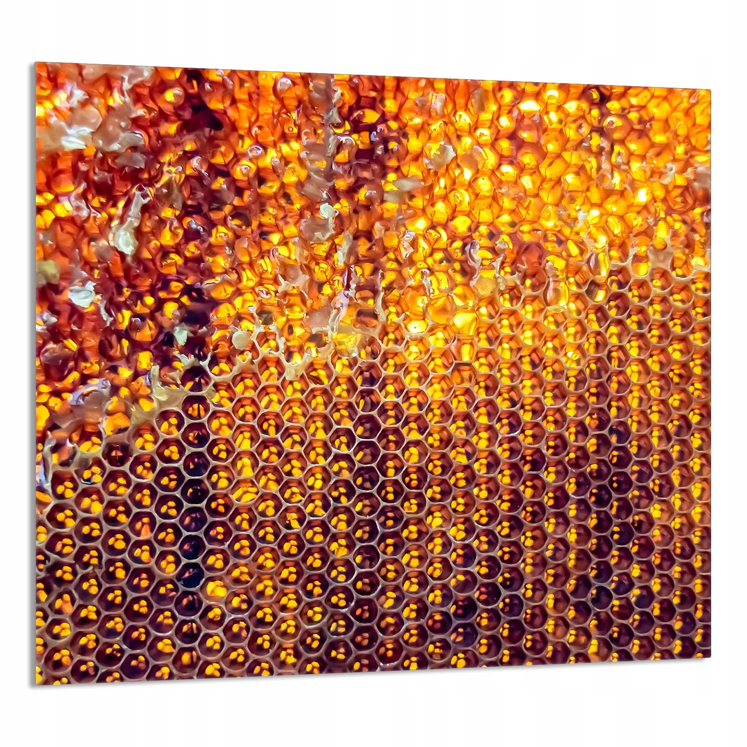 Skleněný Panel Do Kuchyně 65x60 Med Tvrzené Sklo