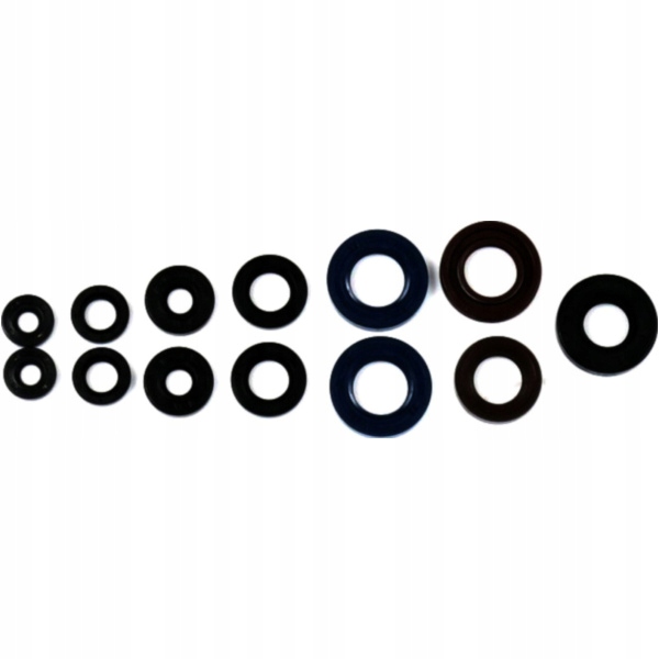 sada siln. těsnění Derbi Gpr 50 07-12