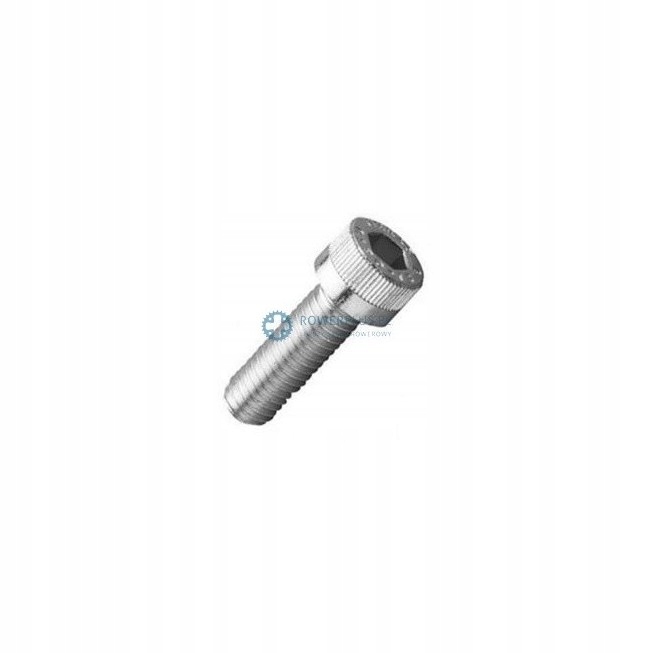 

Śruba imbusowa Inox stal nierdzewna M5x10