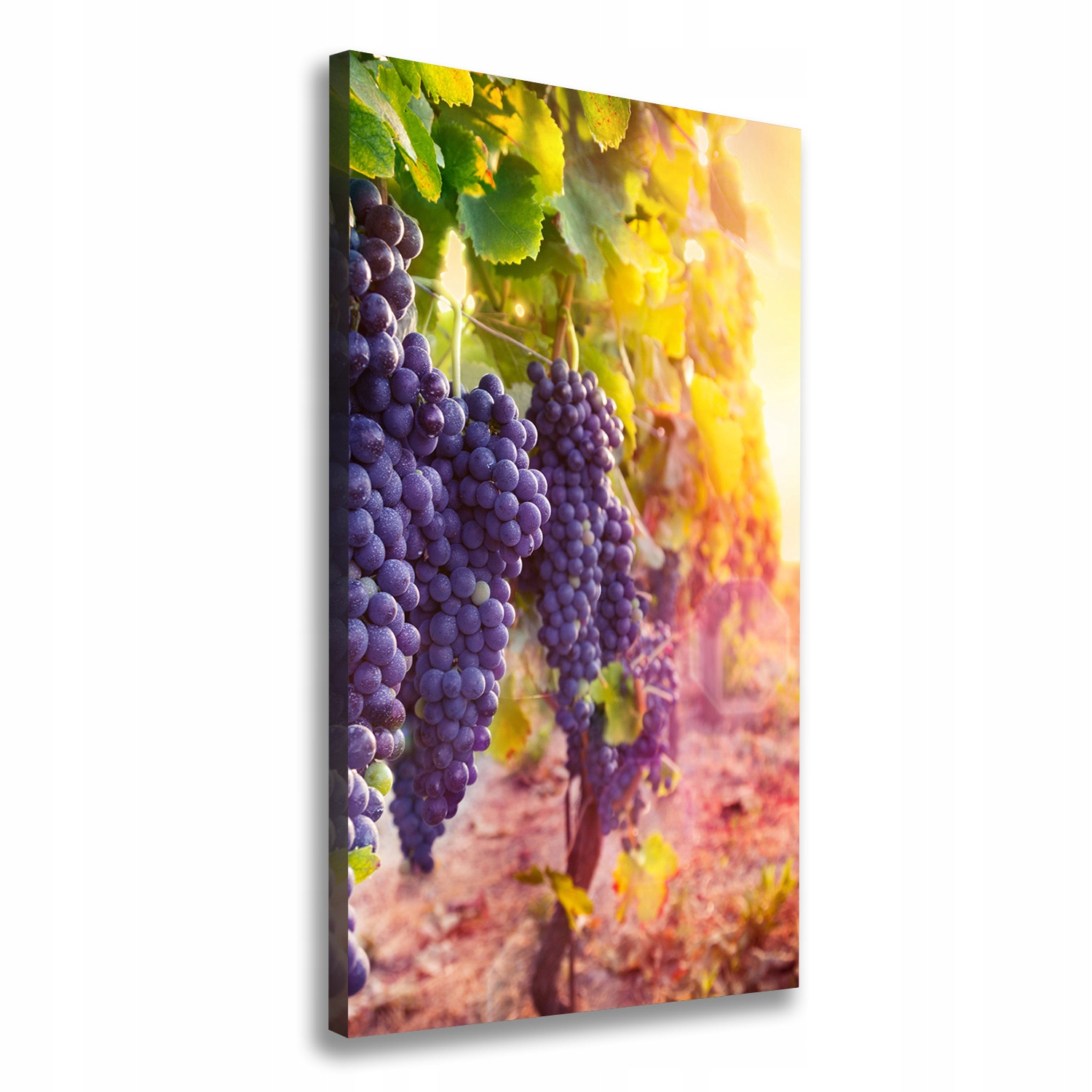 

Nowoczesny obraz canvas na ramie Winnica 70x140 cm