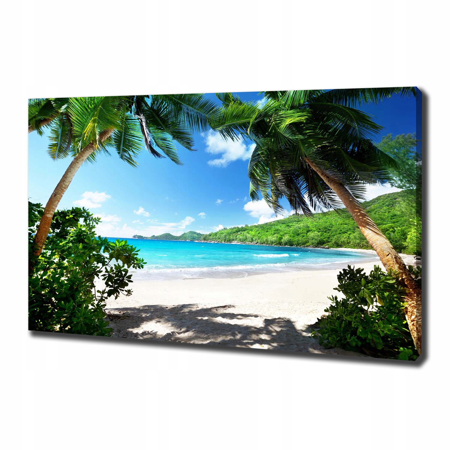 

Foto obraz na płótnie Seszele plaża 100x70 cm