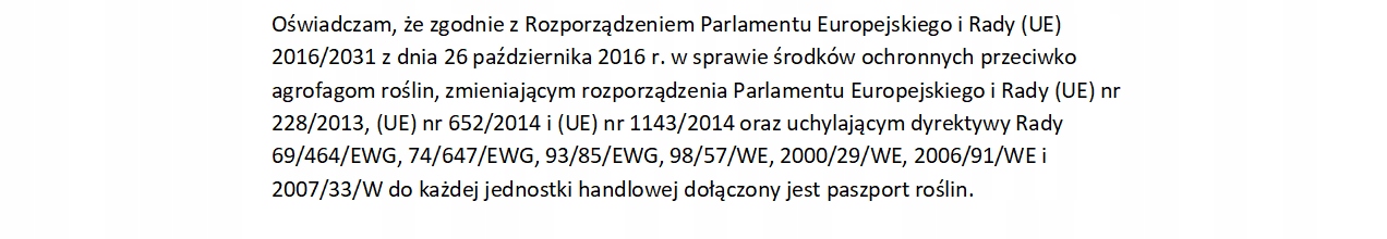 AFRYKAŃSKA Płonąca POCHODNIA TRYTOMA GRONIASTA SADZONKA trawa ozdobna P9 Producent RozsadaProducent