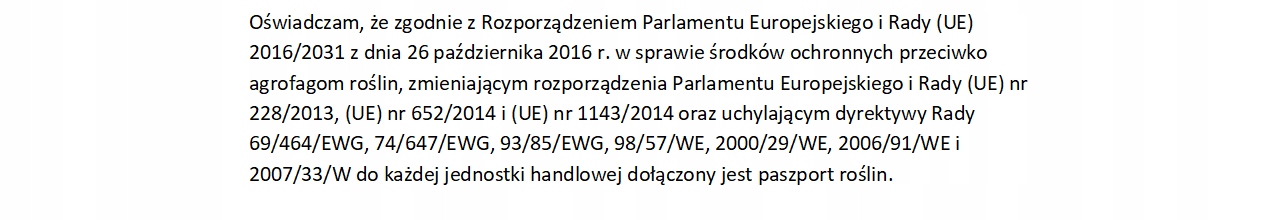 Sadzonka Biała trawa MISKANT OLBRZYMI gigant gigantus Giganteus Ozdobna P9 Roślina w postaci sadzonka w pojemniku 0,5-1l