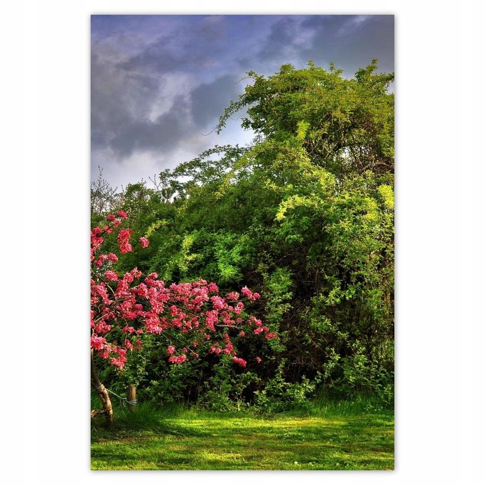 

Plakaty 40x60 Pejzaż Krajobraz