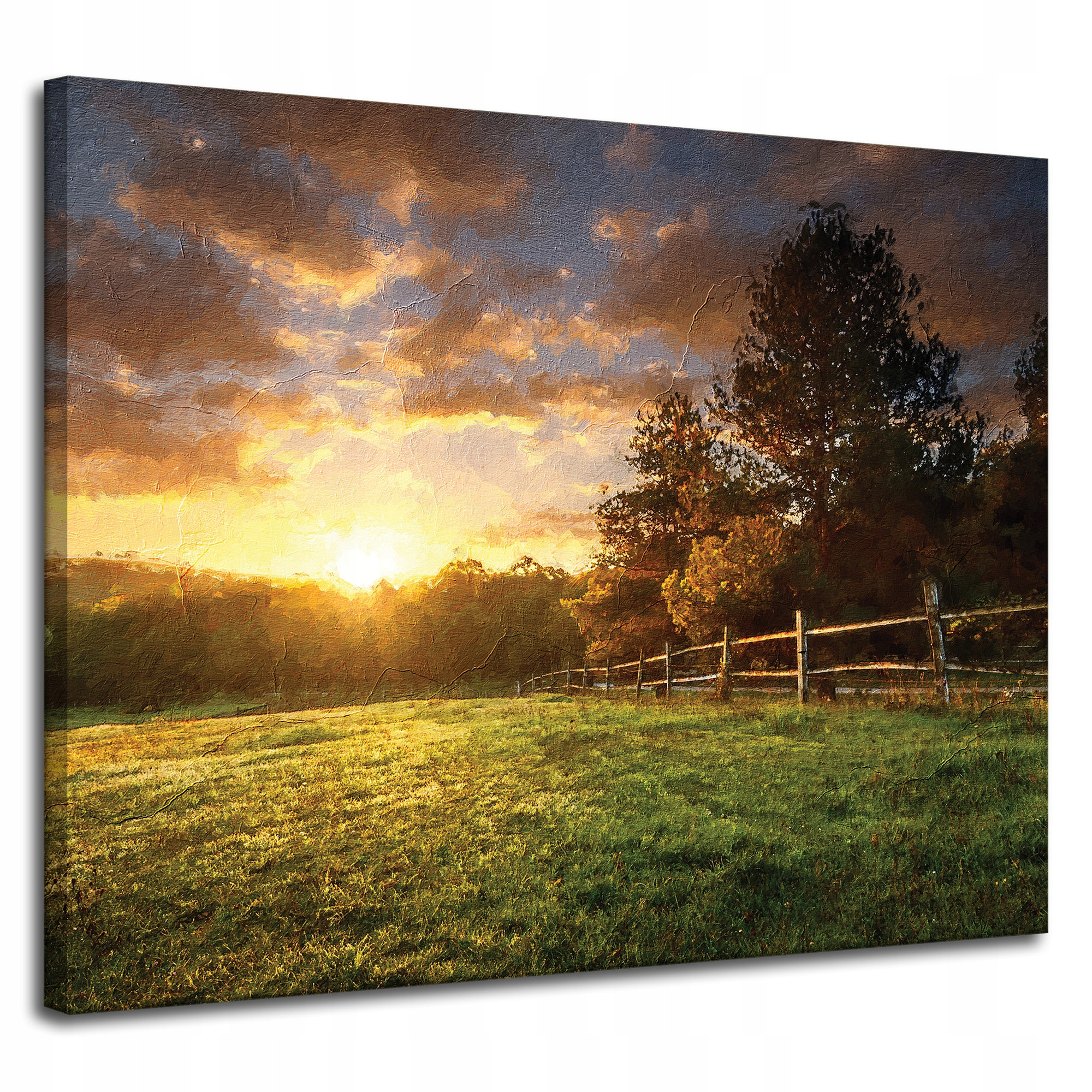 Obraz na plátně Slunce Krajina Venkovské stromy Louka 100x80 cm