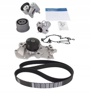 VKMC 95981/SKF КОМПЛЕКТ ROZRZADU (З СМУЖКОЮ) + НАСОС