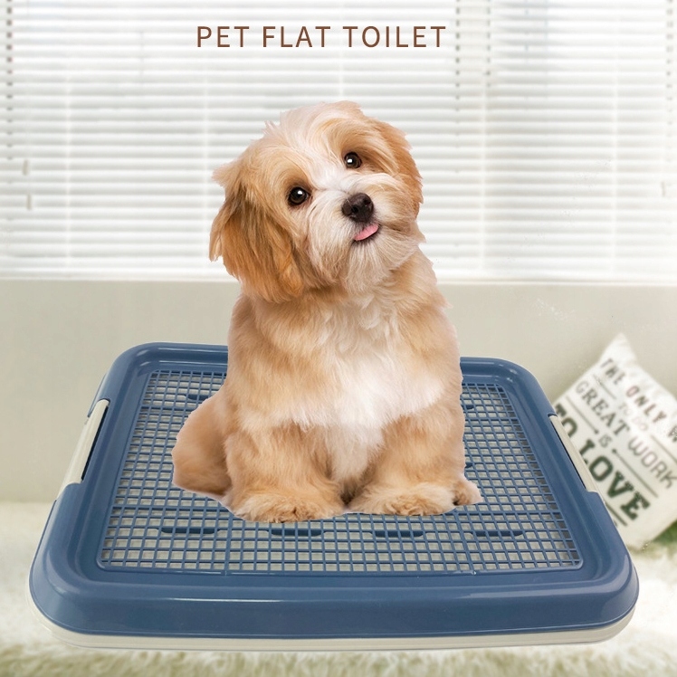 Levně Toaleta Pro Psy Tréninková Toaleta S Mřížkou Na Podložky Učení 47x34 cm