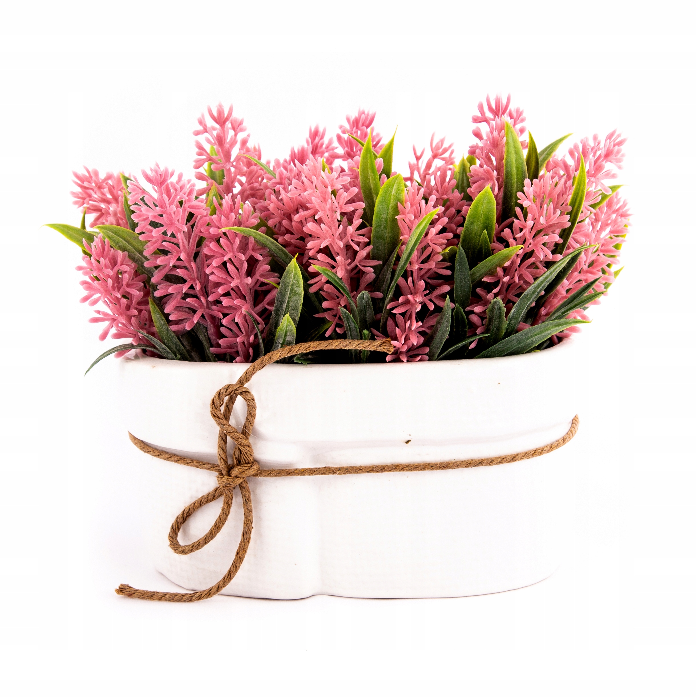 

Kwiatki W Doniczce Dekoracja Na Stół Różne