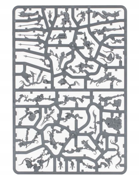 Vanguard - Hedonites of Slaanesh System Warhammer Age of Sigmar