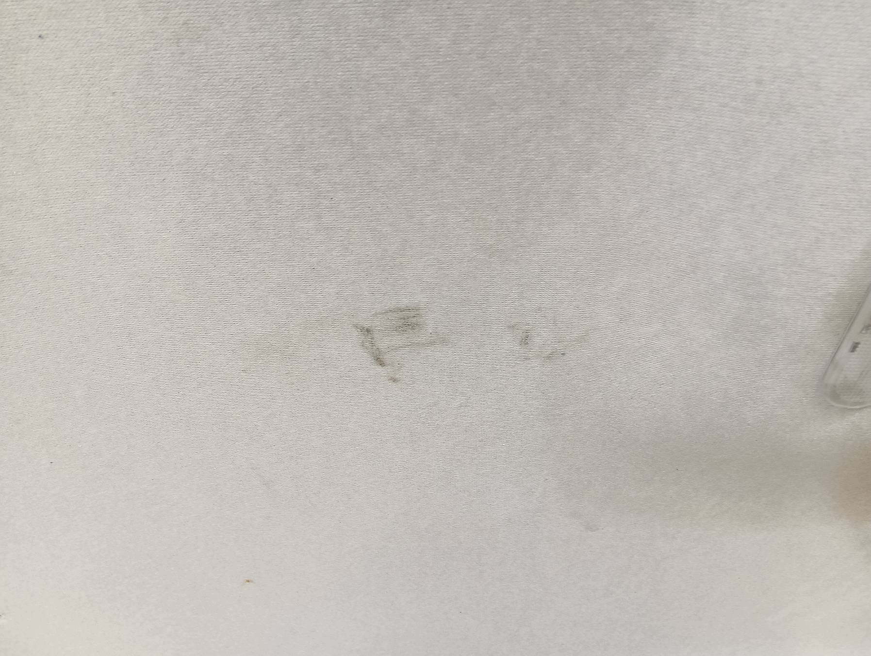cielo interno PODBITKA SUFIT STEPWAY Dacia Lodgy e (2012- )