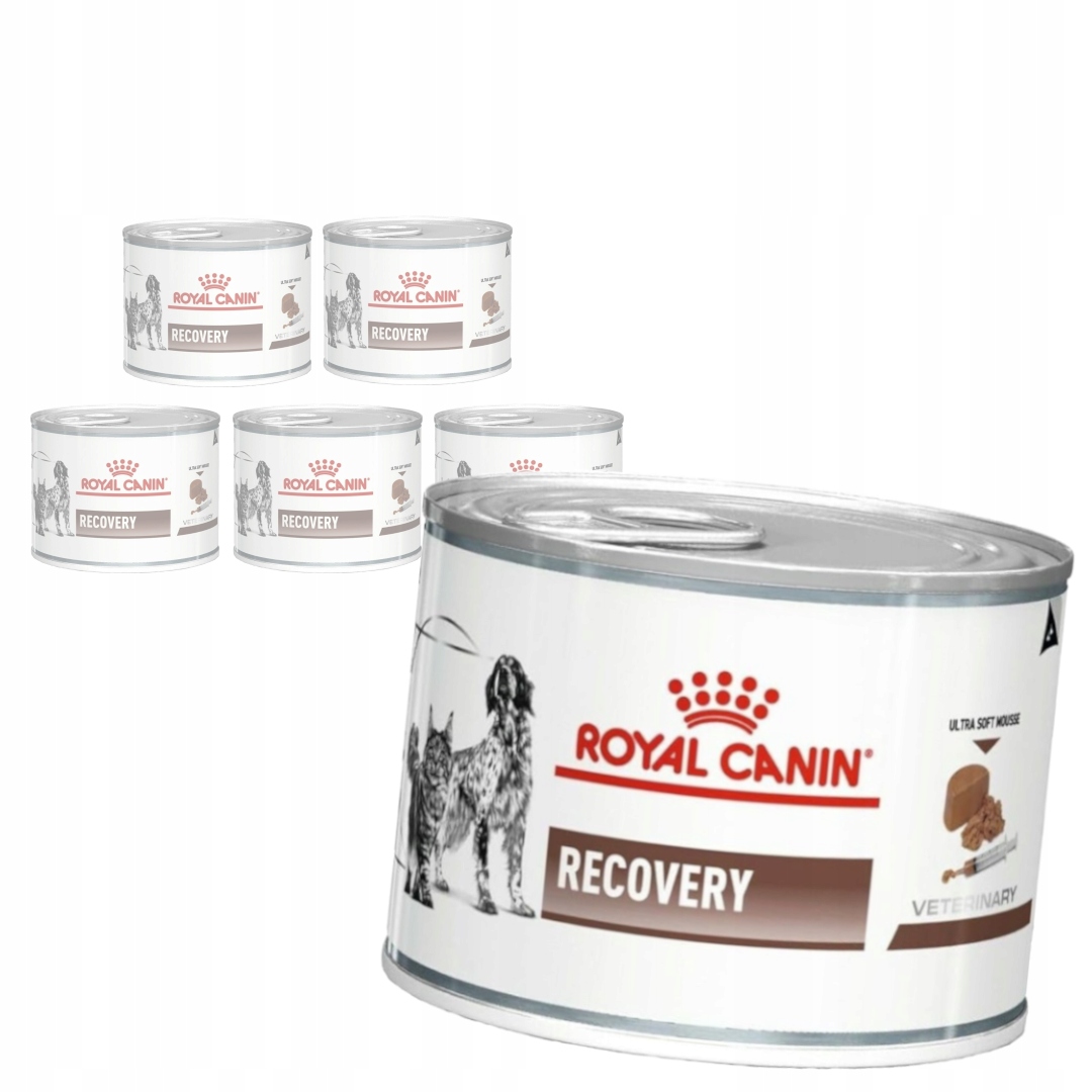 Levně Royal Canin Veterinary Recovery Mousse 6x195g Vlhké Krmivo pro psy a kočky