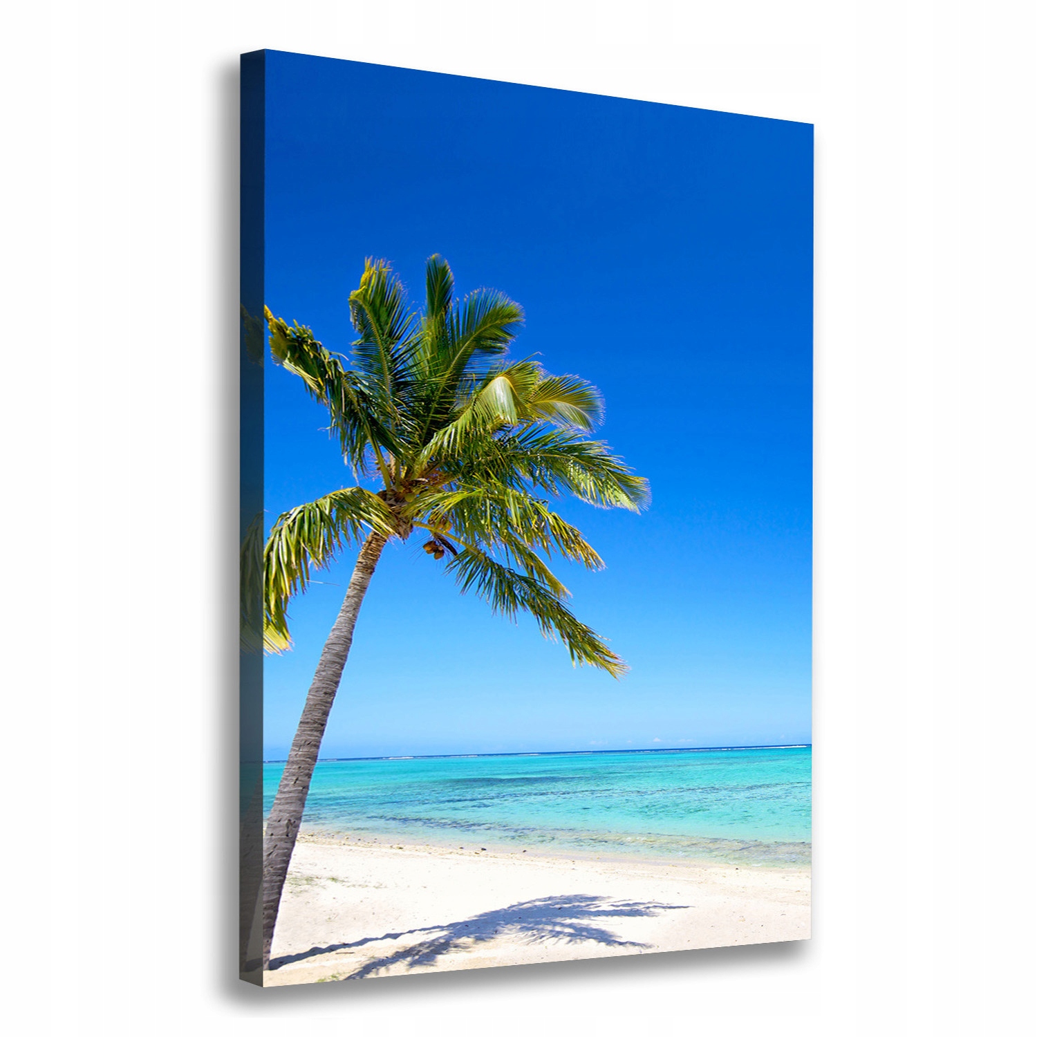 

Foto obraz na płótnie Tropikalna plaża 70x100 cm