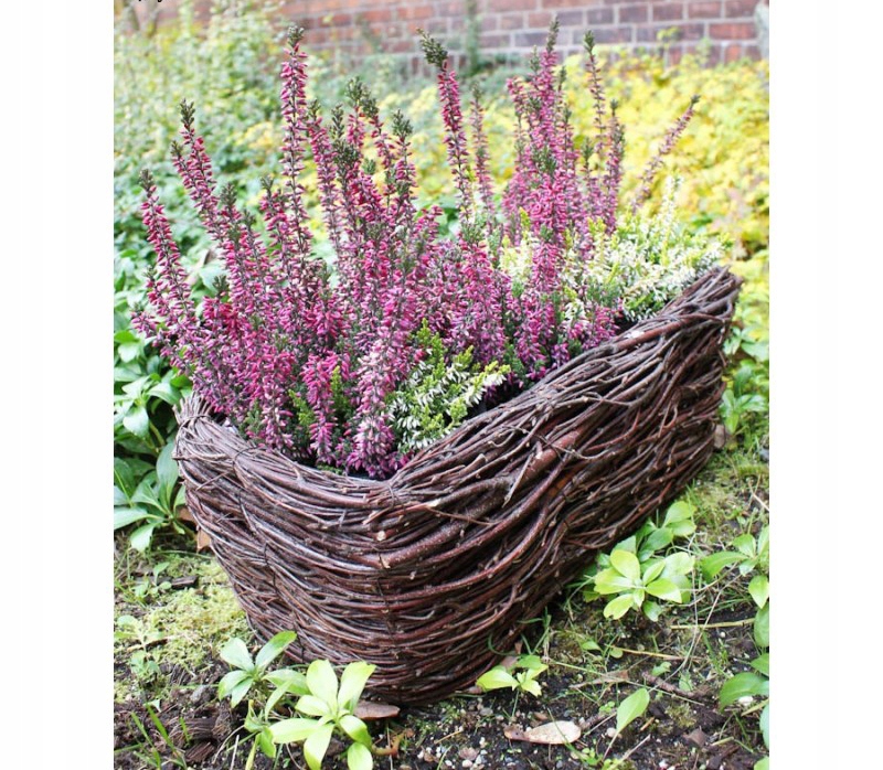 BALKONÓWKA WIKLINOWA PROSTOKĄTNA OSŁONKA 39x20x15 Rodzaj osłonka