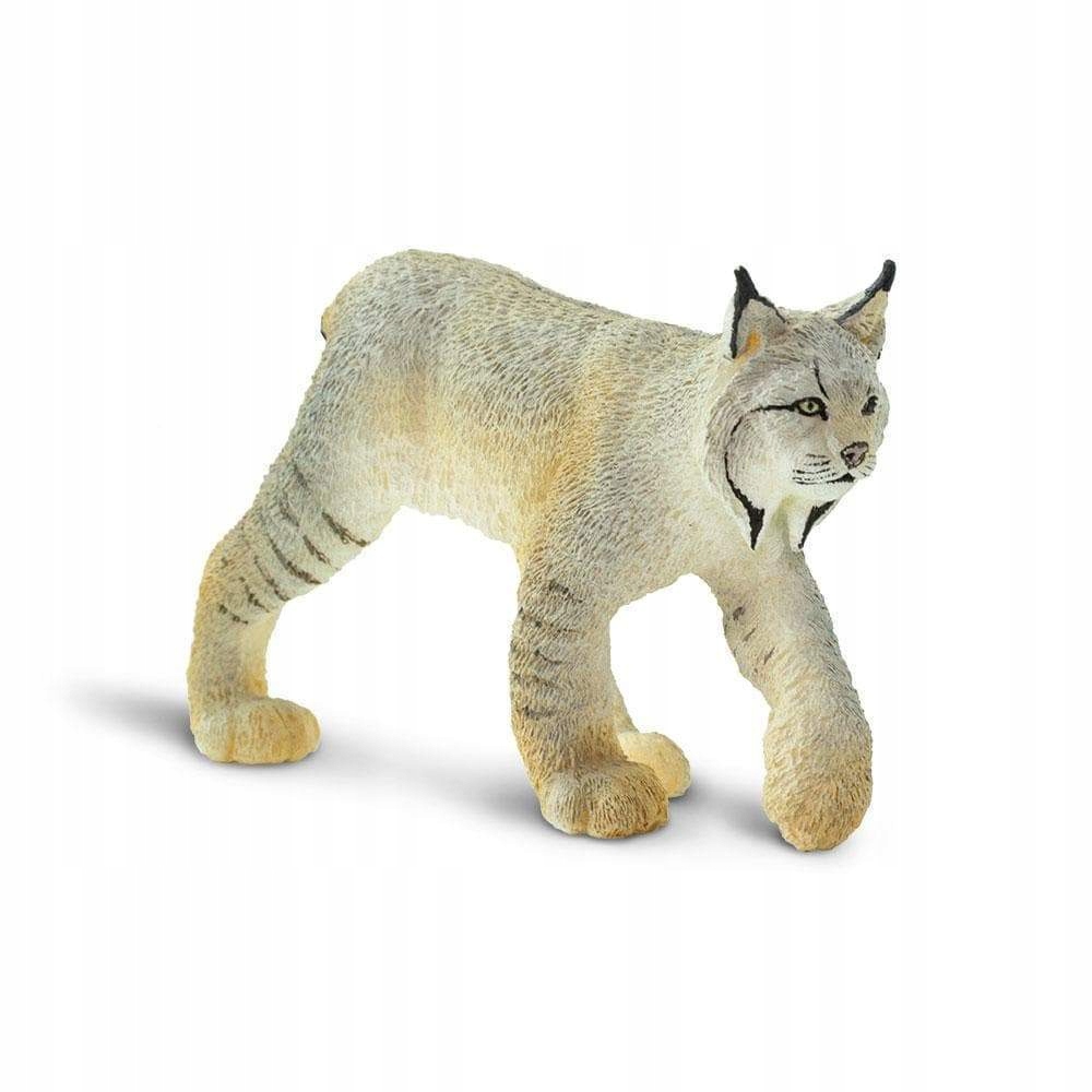 

Ryś Lynx Safari Ltd. 181829