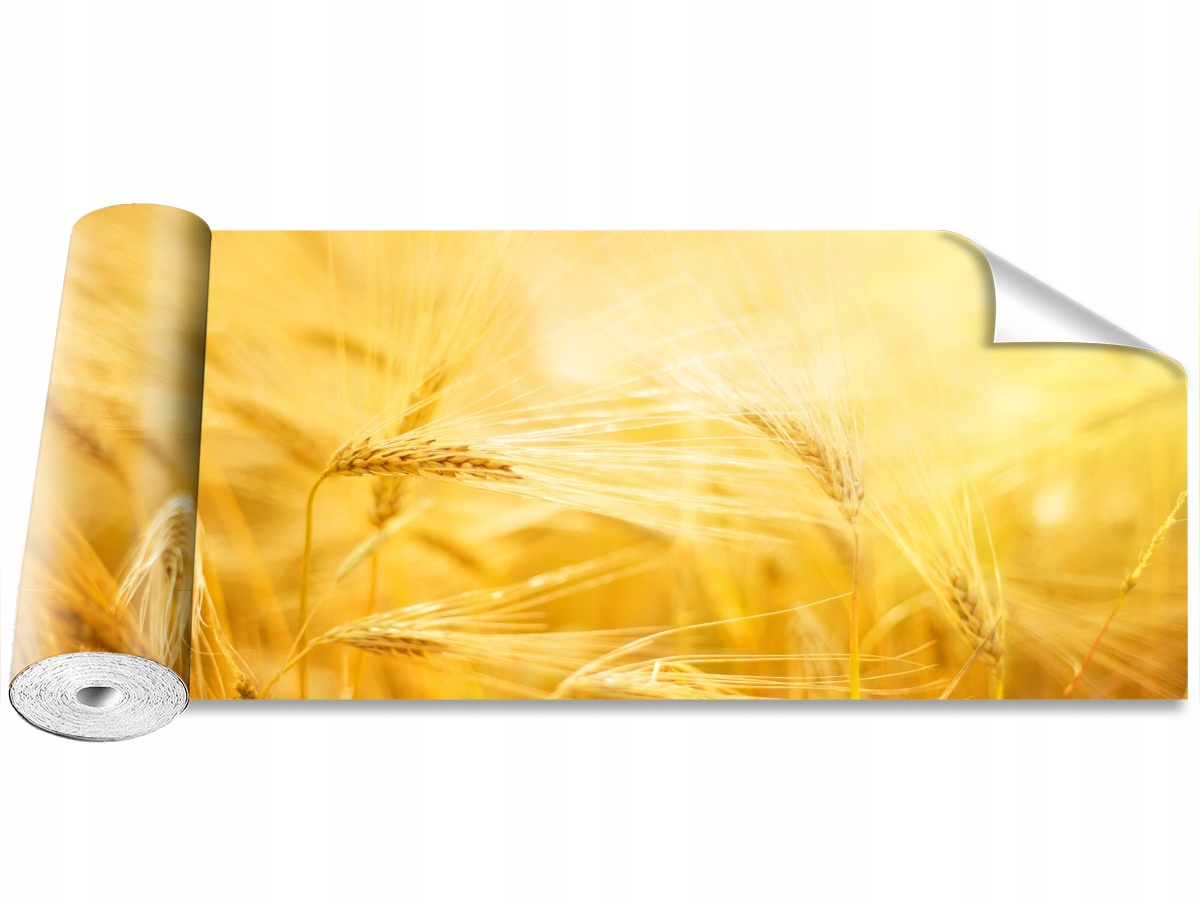 

Tapeta Samoprzylepna Pole pszenicy 250x104