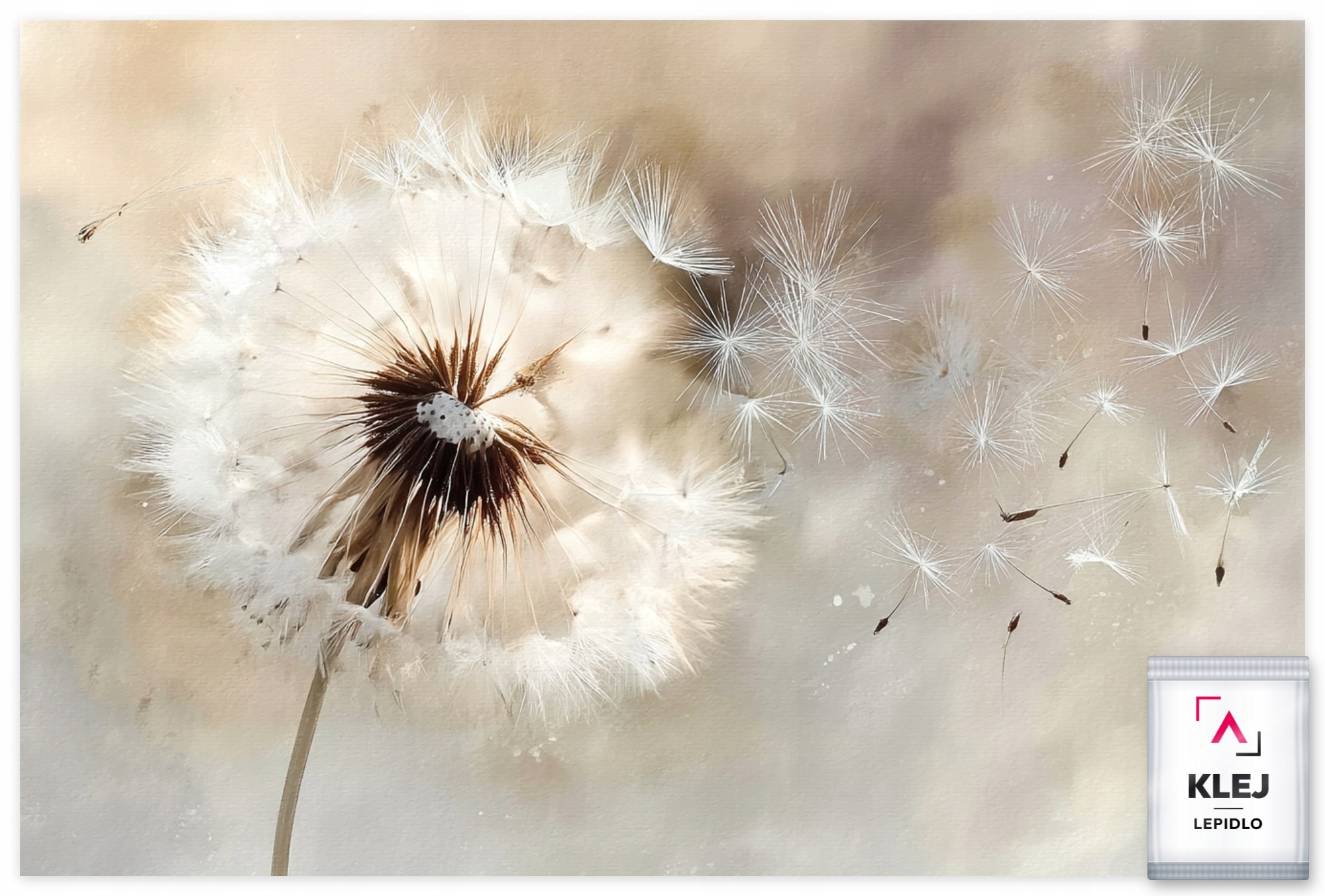Fototapeta Flizelina Akvarel Béžová Boho Květ Pampeliška Puch 416x254 130g