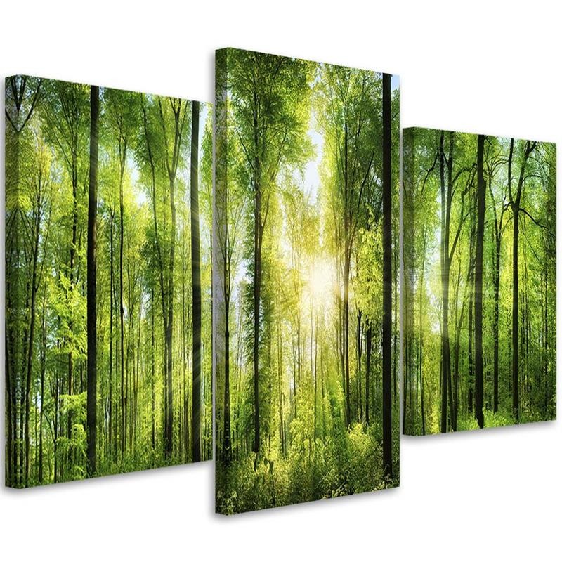 Obraz Triptych Do Obývacího Pokoje Zelený les 90x60