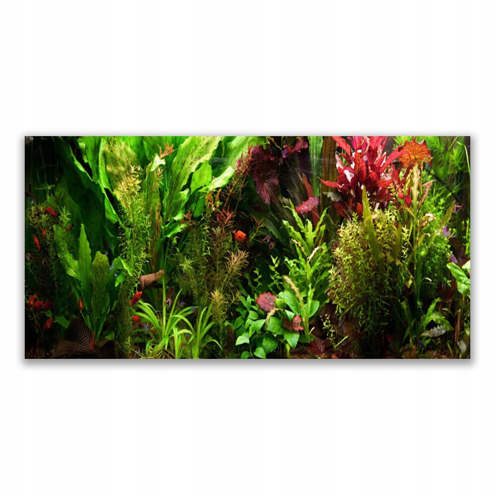 

Fotoobraz wiszący 120x60 Roślina Kwiaty Przyroda