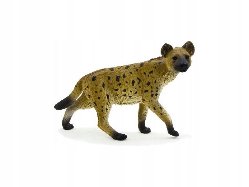 

Hiena Cętkowana Hyena Animal Planet 387089