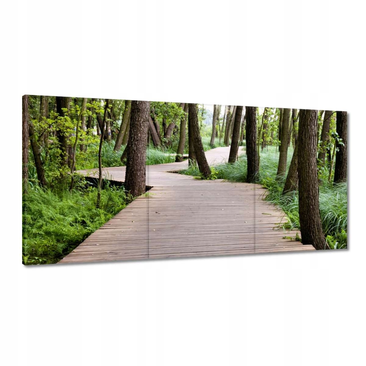 Obrazy 120x60 Park ve Wolsztyně