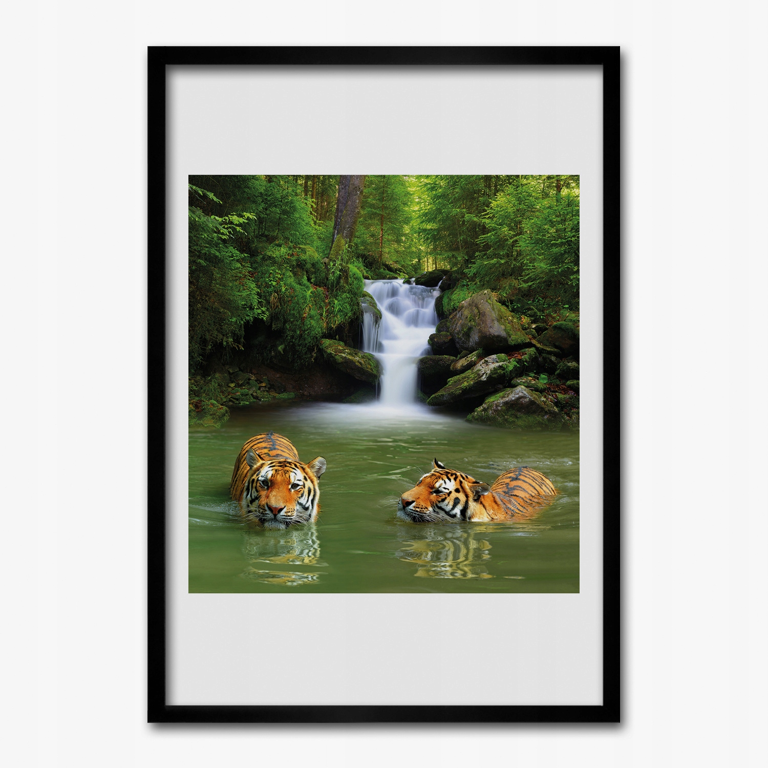 Obraz s rámom Mdf Tigre mačka vodopád 70x100 cm