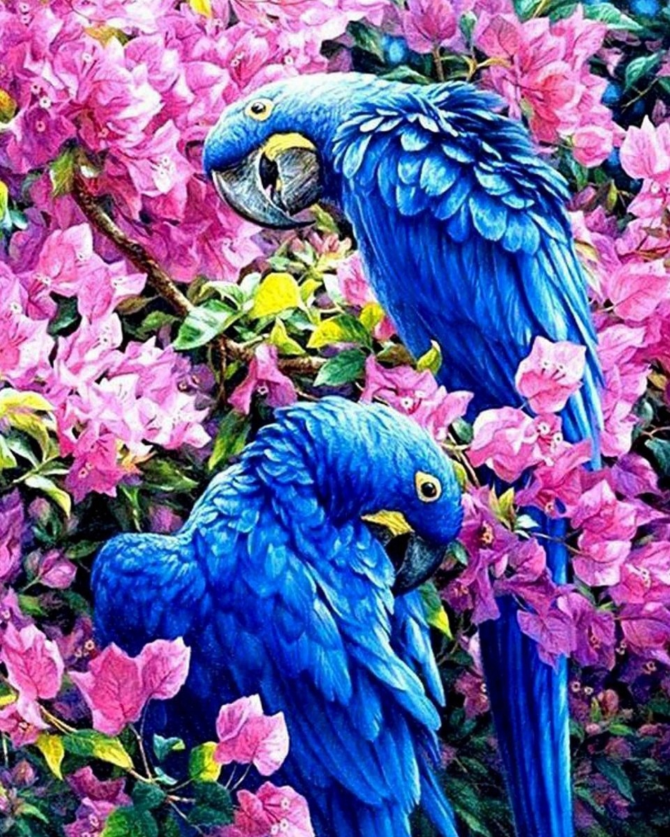 Diamantová Výšivka Diamond Painting Mozaika Modré Kakadu 45x55 Sada 5D