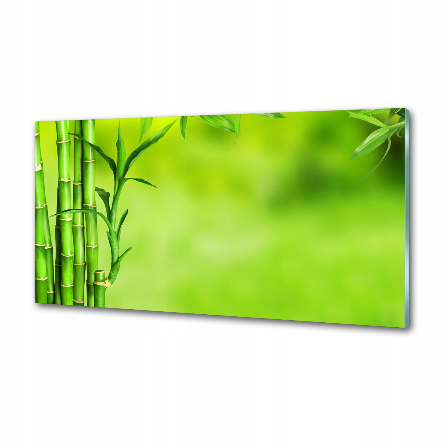 Sklenený panel do kuchyne Bambus 120 x 60 cm Lepidlo