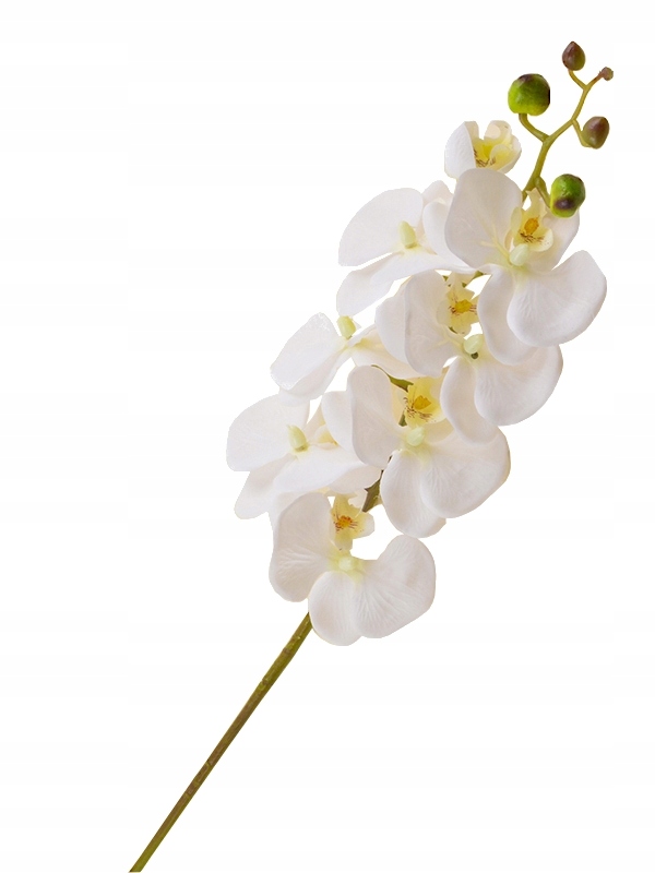 

Storczyk Sztuczny Biały Orchidea Gałązka 88 cm