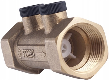 Ferro Protihrozný Spätný Ventil 2"