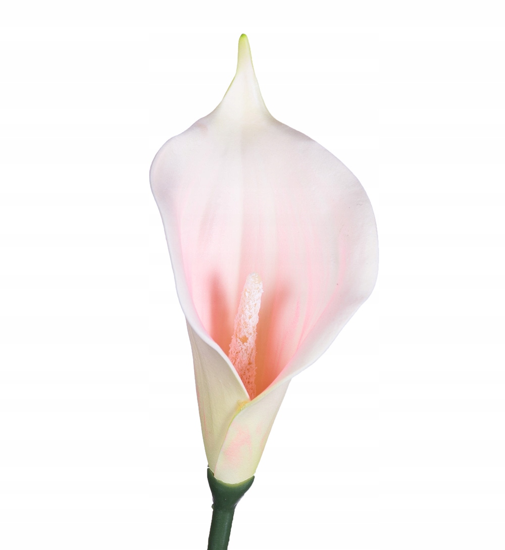 KALIA CALLA WYROBOWA GŁÓWKA SZTUCZNE KWIATY