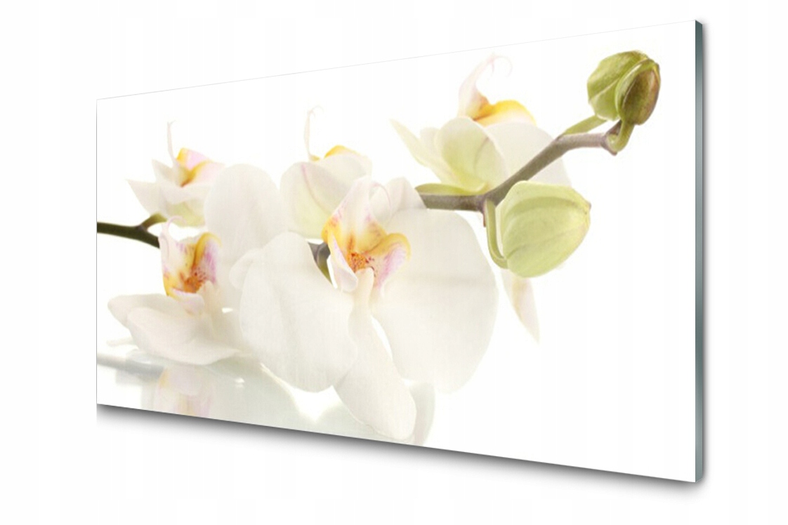 

Panel szklany Płytka Kwiaty Roślina 120x60 + Klej